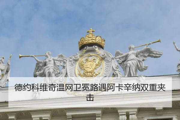 de-yue-ke-wei-qi-wen-wang-wei-mian-lu-yu-a-ka-xin-na-shuang-chong-jia-ji-2-934.jpg
