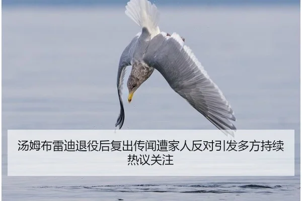 汤姆布雷迪退役后复出传闻遭家人反对引发多方持续热议关注