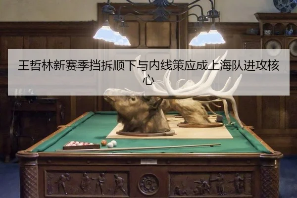 wang-zhe-lin-xin-sai-ji-dang-chai-shun-xia-yu-nei-xian-ce-ying-cheng-shang-hai-dui-jin-gong-he-xin-3-936.jpg