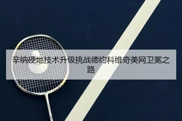 辛纳硬地技术升级挑战德约科维奇美网卫冕之路